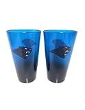 Great Branding Carolina Panthers NFL Pint Gläser Glas Set 2er-Set 475 ml