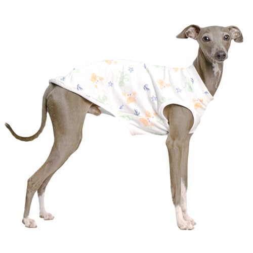 C^O ^Ngbv vg    C zCg   y S~4XL Vv  Ci[ IG037T (LTCY, zCg)