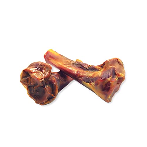 Can Dogs Eat Ham Bones? Easy Spaniel Training