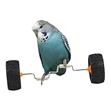 Parrot Balancing Bike – Interaktives Trainingsspielzeug | Intelligenzbereicherung Balancefahrzeug | Langlebiges Nymphensittich-Übungszubehör für Tischdisplay Tiergeschäft | Home Entertainment Lernen