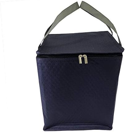 Sac isotherme pour livraison de nourriture – Sac isotherme pour pizza, gâteau et déjeuner – Grand sac à main avec poche de glace pour aliments frais et boissons, 25,4 cm.