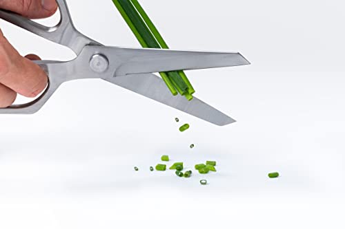 Edge of Belgravia Scissor All Purpose Kitchen Stainless Steel Scissor, Silver - Image 3