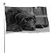 Produktbild 60 x 90 cm, dekorative Hausflagge, Hofbanner, Heimatlose, niedlicher armer Hund, Willkommensgartenflaggen, Rasen, hängende Heimdekoration