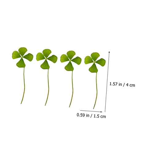 Unomor 24pcs hojas secas de trébol de cuatro hojas para manualidades miniatura 2