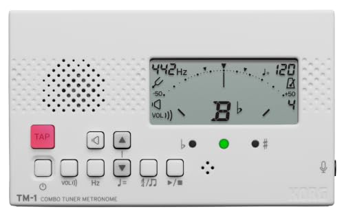 KORG TM-1
