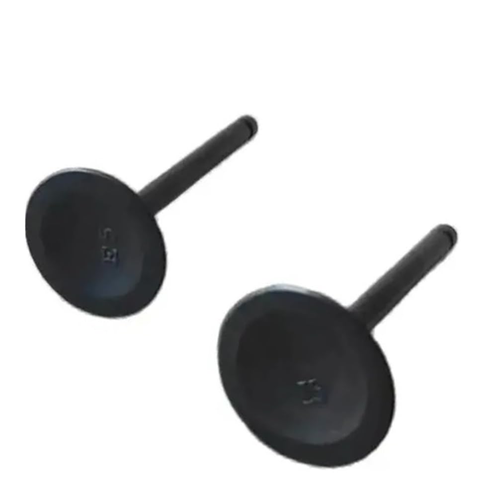 Pljyocdo One Color Engine Parts Intake And Valves Fit For Ex27 Ex30 90H