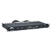 Lowell ACSPR-RPC1-2009 Power Panel-20A, 6-Switch 3-Unswitch 15A Outlets, 1U, Surge Suppression