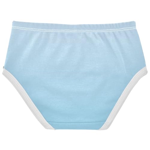 Joisal Ombre Light Blue Gradient Little Girl Panties Girls Underwear Toddler Cotton Artistic Kids Briefs Undies 2t2