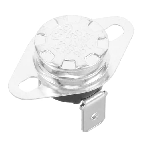 RORPOIR Regulador de Temperatura para Dispensador de Agua Fría y Caliente con Control Térmico de Acero Inoxidable y Diseño Integrado para Máquinas de Tuberías