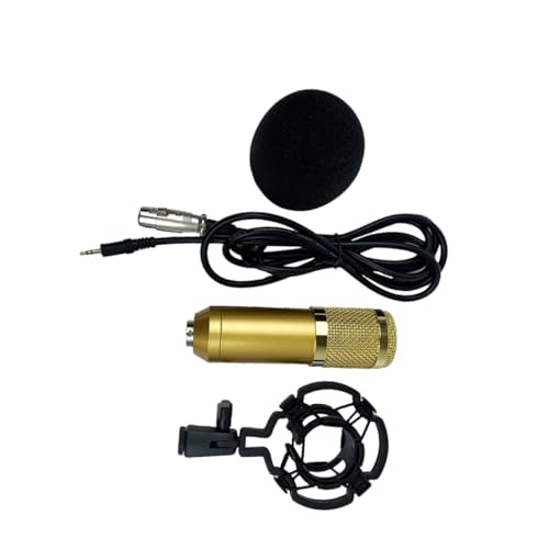Microphone à condensateur pour enregistrement vocal et karaoké BESPORTBLE à maille double couche