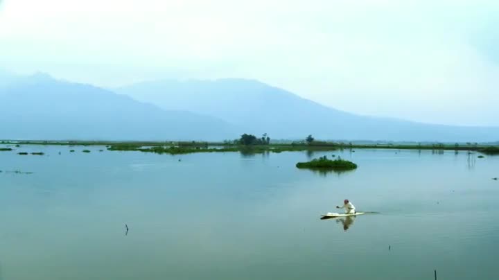 Bombay Sapphire London Dry Gin (1 x 1 l) - Image 8