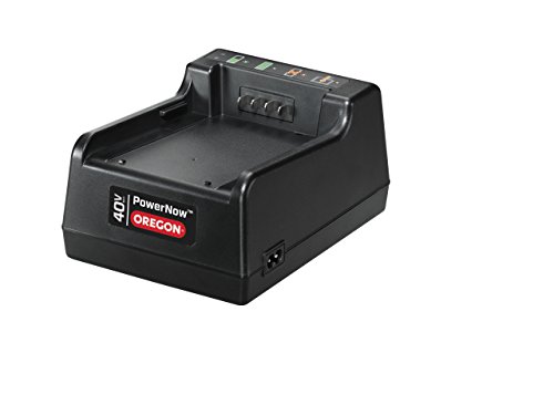 Oregon St275-Gsl Cordless Grass Edger Trimmer With 4.0Ah Battery, Standard Charger, And Gator Speedload Strimmer Head (581207) #TOP7