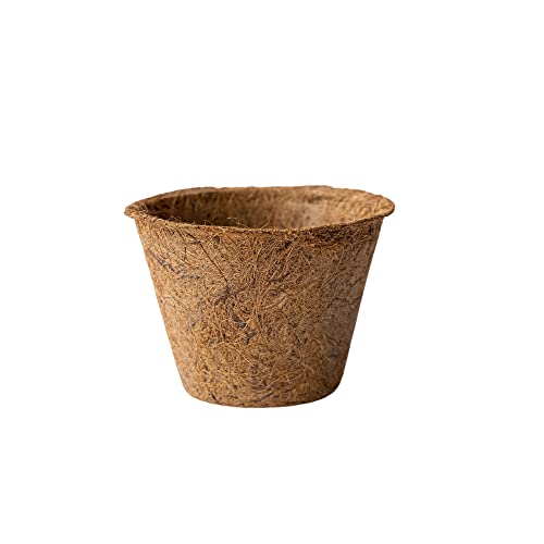 Coconut Fiber Planter Pots - 6 Pack