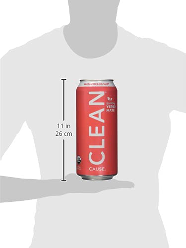 https://m.media-amazon.com/images/I/31cVVN6GerS.jpg