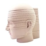 NICHOY 12PCS Human Head and Brain Cross-Section Model Brain Model with Slice Horizontal Section Clear Anatomy Logo Human Body Model Removable Anatomy Model(Color:A,Size:10in)