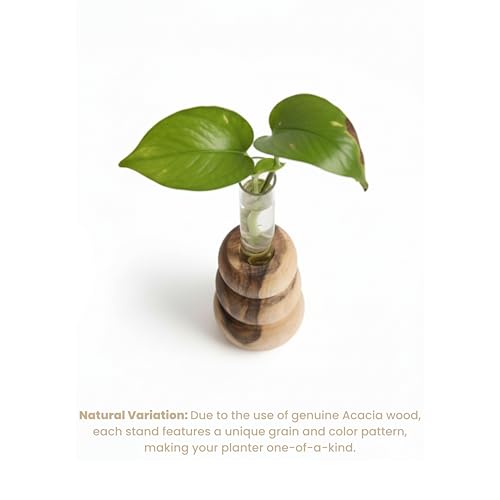 Image of Wooden Test Tube Planter Vase with Wooden Stand | Glass Tube for Indoor Plants, Cuttings & Hydroponics | Minimalist Bud Vase | Modern Flower Stand | Unique Home Office Decor Gift.(3 Steps Designe)