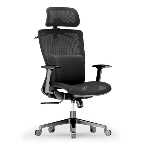 Image of FLEXISPOT OC3 Ergonomic Chair with Dual Front& Back Lumbar Support,MS Black