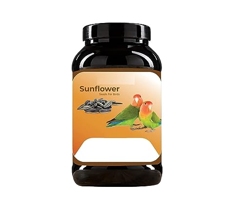 CybeXis Sunflower Seed for Birds-[2Kg]