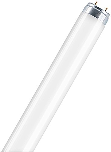 Preisvergleich Produktbild Leuchtstofflampe L 36 Watt 880 Skywhite - Osram
