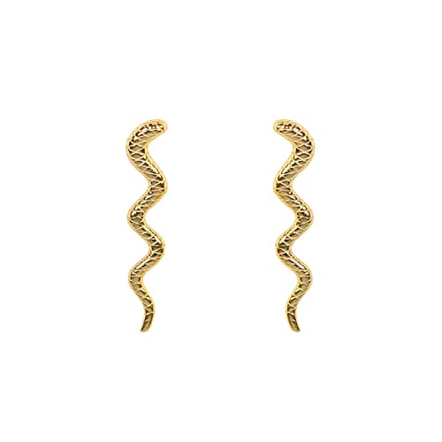 JQQJZLC Pendientes de Serpientes para Mujeres Pencas pequeñas Pendientes Pendientes Pendientes