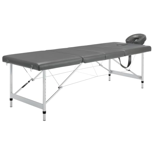 Genérico Camilla Masaje 4 Zonas Estructura Aluminio Antracita 186x68 cm,Mesas de masaje-110176