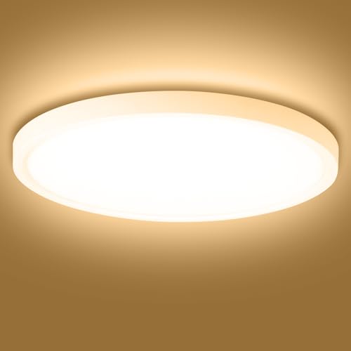 Litglobe Plafon LED Techo 60W,6000LM Lampara