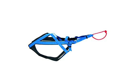 Neewa Adjustable Racing Harness (X-Large, Blue) - Ideal for Dog