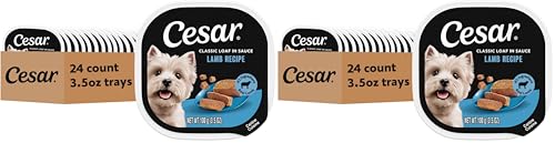 Image of Cesar Classic Loaf in Sauce Adult Wet Dog Food Lamb Recipe, 3.5 oz Easy Peel Trays, 24 Count (Pack of 2)