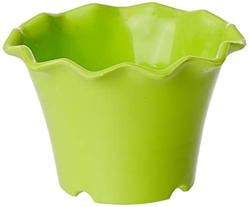 See full amazon price history chart for Gardens Need 100% Virgin Plastic Orchid Pot -04"(100) | Set of 10 Planter, (11cm x 11cm x 7cm, Lemon Green) Gardens Need 100% Virgin Plastic Orchid Pot -04"(100) | Set of 10 Planter, (11cm x 11cm x 7cm, Lemon Green) (B083SBQS5B) Amazon Price History, Amazon Price Tracker