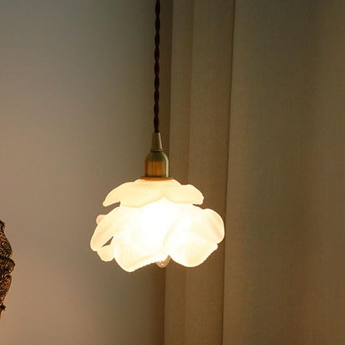 Luces de la isla con cristal transparente para iluminar el comedor y dormitorio 3