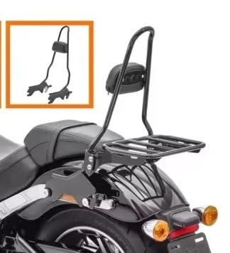 Dossier détachable de moto Harley Softail pour les longs trajets et voyages à deux - 6