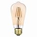 60W Equivalent Soft White (2000K) Vintage Edison Dimmable LED Light Bulb, E26 Base, 650 Lumens, Amber Glass,73193