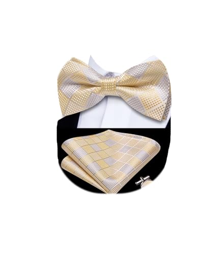 Image of Dubulle Mens Paisley Striped Bowtie Set Pre-tied Bowtie for Men and Pocket Square Set Wedding Business