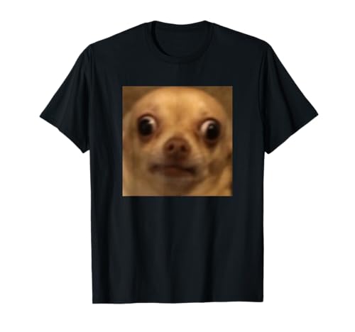 Carino stile meme di Internet, sfocato primo piano di foto in movimento di un viso chihuahua imbarazzante. Adorabile bavaglio umorismo design moda per risate. Per proprietari di cani, amanti dei cani, appassionati di cuccioli, adolescenti, bambini e adulti!