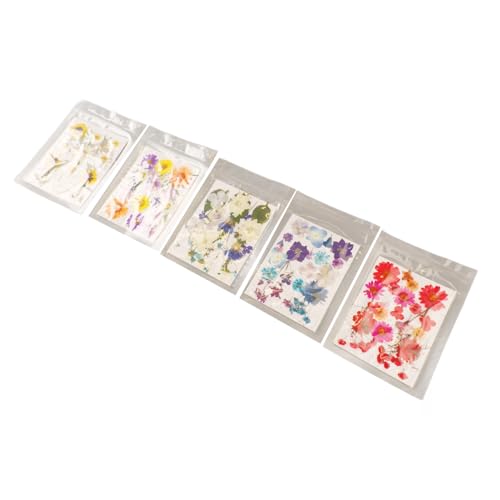 Jeffergarden Flores secas para resina y manualidades 5 bolsas miniatura 2