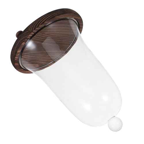 ERINGOGO Glass Plant Terrarium Preserved Flower Glass Dome Unique Car Interior Adornment