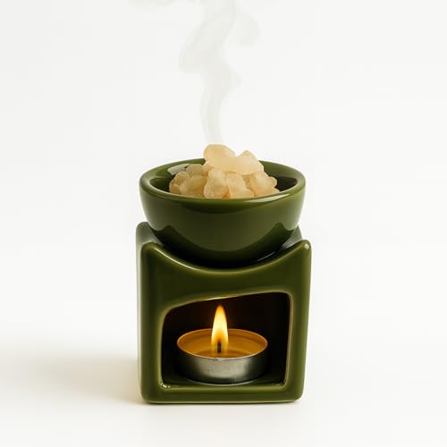 Image of Cortina Ceramic Electric Wax Melt Warmer with Silicone Dish Fragrance Oil Burner for Wax Melts & Essential Oils Stylish for Home Bedroom Office Decor & Gift Use Color 2 (Warmer Only Wax Not Included)
