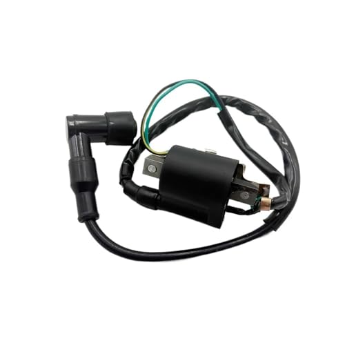 Bobina de encendido para karts de 125 cc y rutas en moto de campo 2