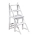 TYJIAJU Escalera plegable multifuncional Silla Asiento Estante Taburete doble Soporte de flores Taburete Altura 90 cm Doble propósito gh