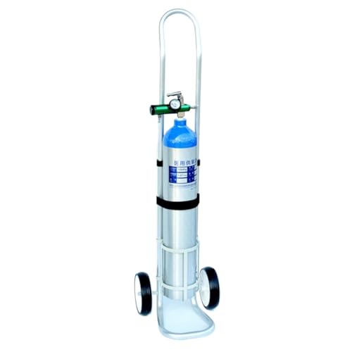 Chariot d'oxygène à bouteille unique de petite taille en inox
