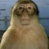 BayHarbourBeats Inc.