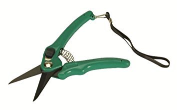 Burgon & Ball Green - Agricultrual Footrot Shears - Supersharp