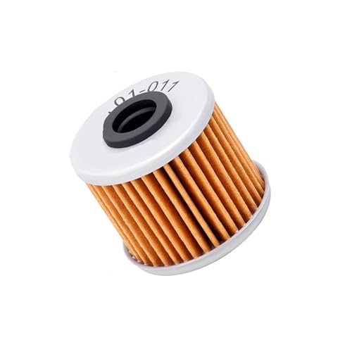 Filtros de aceite Filtro de aceite para motocicleta compatible con HONDA NC700X CTX700N DCT CRF1000D SXS1000M3 TALLON 1000R Pioneer 1000 GL1800 15412-MGS-D21(1pcs)