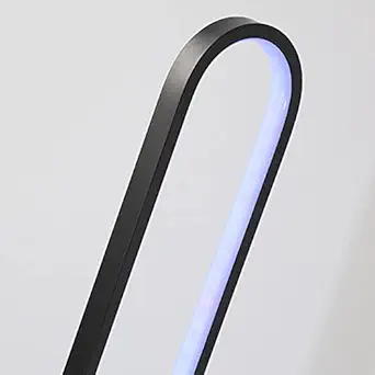 SECRET DESIRE Nordic Floor Lamp Smart Standing Warm Lights Fixtures Remote Control Black