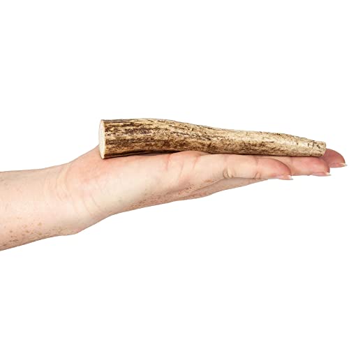 Bundle – Jumbo Cow Ears With Bully Stick Flakes (10-Pack) And Whole Small Elk Antler For Dogs (4-5”) – All Natural, Long Lasting, Digestible Dog Treats For Small, Medium And Large Aggressive Chewers #TOP1