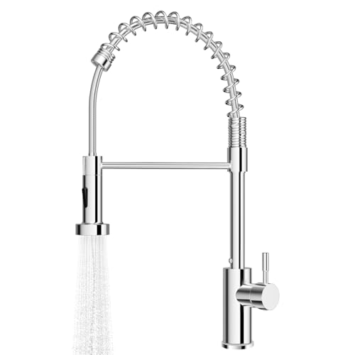 Noxtioanip Rubinetto da Cucina, Rubinetto Lavello Cucina Molla Inox con Doccetta Estraibile, Miscelatore con Spruzzatore a Doppia Funzione, Girevole a 360°, Rubinetto con Molla a Spirale, Chrome