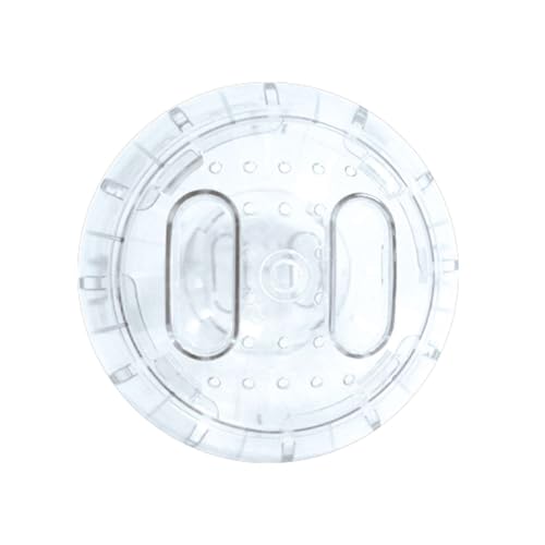 ICA GD10012 Accesorio de Recreo Bola de Ejercicios para Roedores, Diámetro 12 cm, Surtido