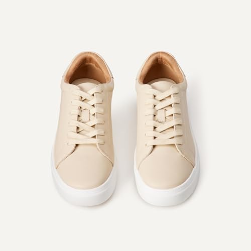 Image of Amazon Essentials Women's Low Top Classic Sneakers