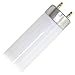 Sunlite 30125 - F17T8/SP841 2 Foot Plus Straight T8 Fluorescent Tube Light Bulb
