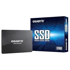 Gigabyte gp-gstfs31120gntd SSD INT 120 GB SATA – (> rand)